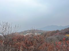 -北京西山国家森林公园