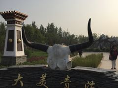 -武清南湖绿博园