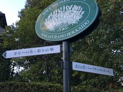 -富田农场