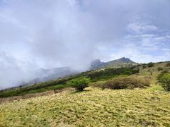 -秦岭风景区