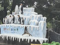 -重庆欢乐海底世界