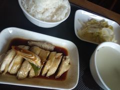 -美的鹭湖探索王国