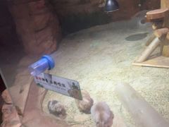 -正佳雨林生态植物园