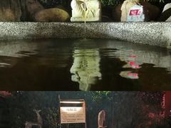 -余姚阳明温泉山庄