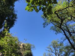 -北京鹫峰国家森林公园