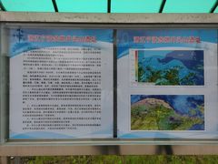 -四明湖