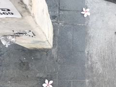 -宁曼路