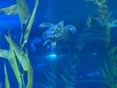 -常州海昌海洋探索馆