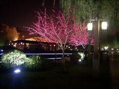 -大唐不夜城-开元广场