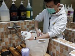 -汪小喵宠物·戴维斯乐芳希施宠馨宝皮毛调理洗护店