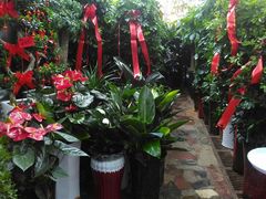 -秦美花卉(天朗·莱茵小城2期店)