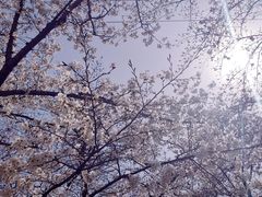 -西北湖绿化广场