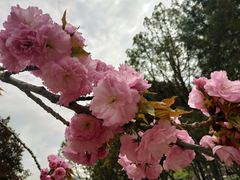 -大雁塔北广场音乐喷泉