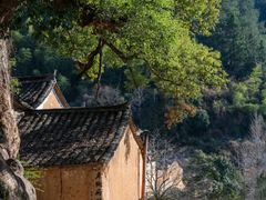 -杨家堂村