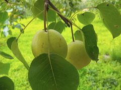 -祥源·阜阳生态乐园