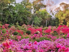 -莲花山公园