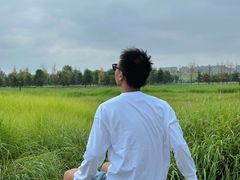 -汉长安城未央宫国家考古遗址公园