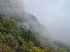 -龙峪湾国家森林公园