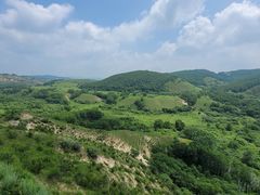 -塞罕坝国家级自然保护区