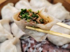 蒸羊肉香菜-新兴园饺子馆(望京店)