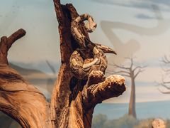 -陕西自然博物馆