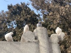 -峄山风景名胜区