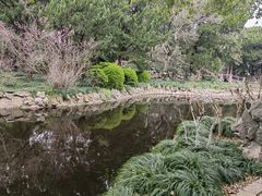 -叶家花园