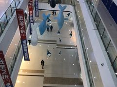 -上海颛桥万达广场