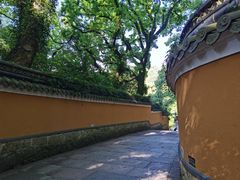 -普陀山风景名胜区-法雨禅寺
