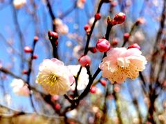 -鹫峰国家森林公园