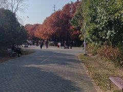 -上海海湾国家森林公园