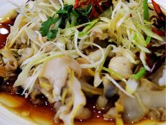 -林之六八·6886大连老菜馆