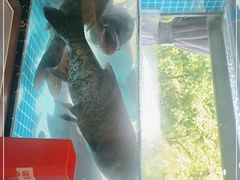 -浔味·山屿湖·正宗淳牌全鱼宴老字号