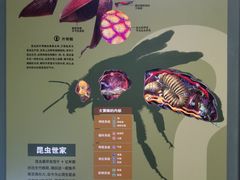 -天津自然博物馆