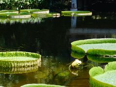 -上海滨江森林公园