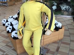 -济州岛泰迪熊博物馆