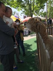 -萌宠亲子动物乐园(槐房万达店)