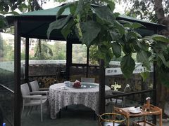 -陶缘一号·四季缘·老字号顺德菜·户外婚礼家宴(西滘店)