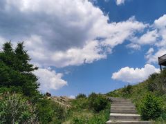 -白草畔自然风景区