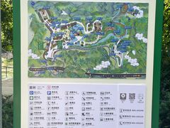-野象谷景区