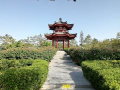 -大慈恩寺(大雁塔)