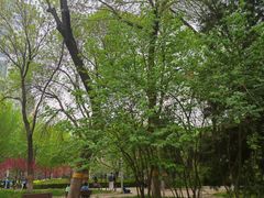 -元大都城垣遗址公园