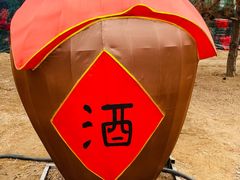 -南宫五洲植物乐园