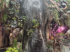 -正佳雨林生态植物园