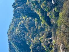 -大岭沟猕猴桃谷风景区