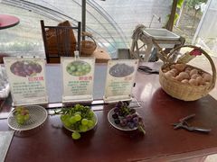 -马陆小张葡萄园农家乐