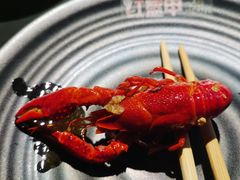 -红盔甲·小龙虾(人民广场店)