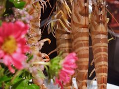 -新花城蟹粉馆(乌鲁木齐店)