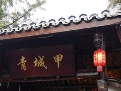 -青城甲(青城山店)