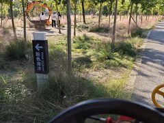 -嘉北郊野公园